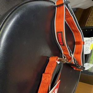 Kong dog collar and leash set.